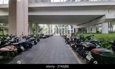 Zahlreiche Elektromotorräder und Motorroller parken in ordentlichen Reihen, was auf ein beliebtes Verkehrsmittel in dieser Stadt hindeutet. Stockfoto