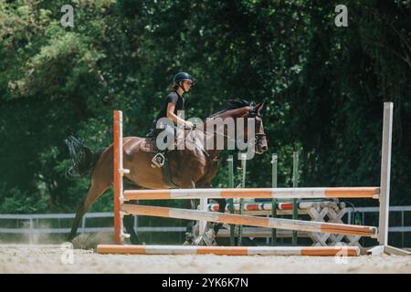 Reiter und Pferd, die bei Wettkämpfen im Freien über die Barriere springen Stockfoto