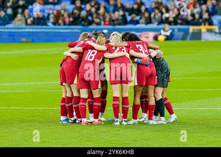 Goodison Park, Liverpool, Großbritannien. Sonntag, 17. November 2024, Barclays Women’s Super League: Everton FC Women vs Liverpool FC Women im Goodison Park. Liverpool Team-Zusammenstoß. James Giblin/Alamy Live News. Stockfoto