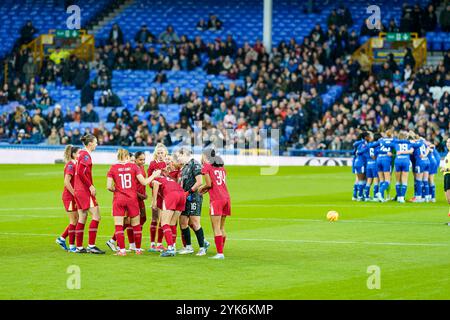 Goodison Park, Liverpool, Großbritannien. Sonntag, 17. November 2024, Barclays Women’s Super League: Everton FC Women vs Liverpool FC Women im Goodison Park. (Beschreibung des Geschehens). James Giblin/Alamy Live News. Stockfoto