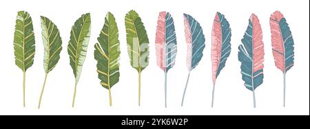 Set aus dekorativen Bananenblättern. Symbole der Verbindung zur Natur, der Fruchtbarkeit. Vektor Hand gezeichnet verschiedene Farben Sammlung Illustration isoliert auf weißem Hintergrund Stock Vektor