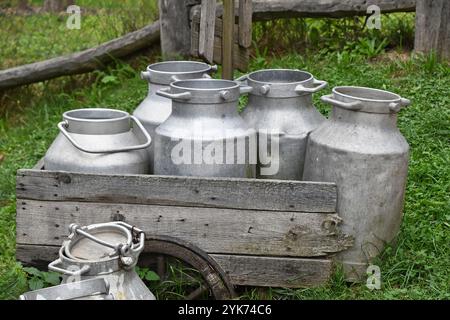 Fünf Aluminium-Retro-Milchkannen sitzen in einer alten Holzkiste auf einer Farm, natürliche Bio-ländliche Szene Stockfoto