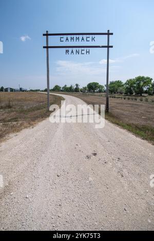 John und Melanie Cammack, die Besitzer der Cammack Buffalo Ranch, betreiben am 21. Juli 2021 eine 000 Hektar große Büffelranch mit 600 Mutterkühen in Stoneville, SD. John Cammack ist ein Vierer der vierten Generation. Die größte Herausforderung in diesem Jahr ist die Dürre und die Frage, wie die Weidepraktiken am besten an den Wassermangel angepasst werden können. Während der normalen Jahreszeiten fließen die vielen Bäche auf der Ranch mit Wasser. Wenn Büffel von Feld zu Feld rotieren, müssen sie oft jeden Tag einen oder mehrere Ströme durchqueren. Mr. Cammack sagt, dass die Nutzung der USDA in erster Linie finanzielle Vorteile hat. Danach wird das NRCS genutzt Stockfoto