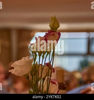 Schöne weiße und rosa Blumen in einem Tischpult mit weichem, verschwommenem Hintergrund. Stockfoto