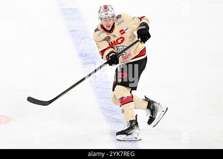 Eishockey DEL 24/25 - 17. Spieltag: Düsseldorfer EG vs Nürnberg Ice Tigers am 17.11.2024 im PSD Bank Dome in Düsseldorf Nürnbergs will Graber (Nr.77) Foto: Osnapix Stockfoto