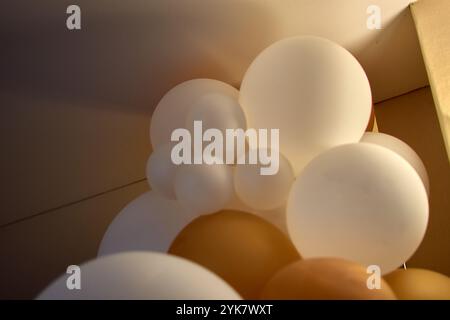 Große weiße und gelbe Ballons schmücken einen Veranstaltungssaal und sorgen für eine festliche und fröhliche Atmosphäre im Innenbereich. Stockfoto