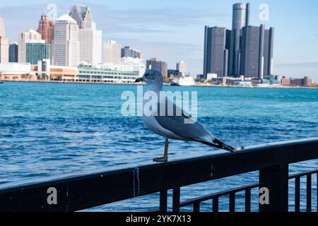 Möwe sitzt auf dem Geländer im Windsor Sculpture Garden Park in Windsor, Ontario, Kanada Stockfoto