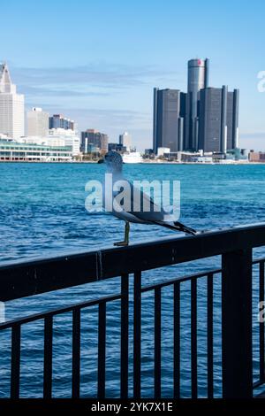 Möwe sitzt auf dem Geländer im Windsor Sculpture Garden Park in Windsor, Ontario, Kanada Stockfoto