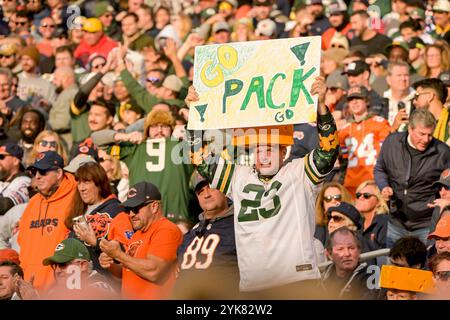 Chicago, Usa. November 2024. Green Bay Packers Fan bejubelt sein Team zum Sieg über die Chicago Bears im Soldier Field in Chicago am Sonntag, den 17. November 2024, besiegte Packers die Bears mit 20:19. Foto: Mark Black/UPI Credit: UPI/Alamy Live News Stockfoto