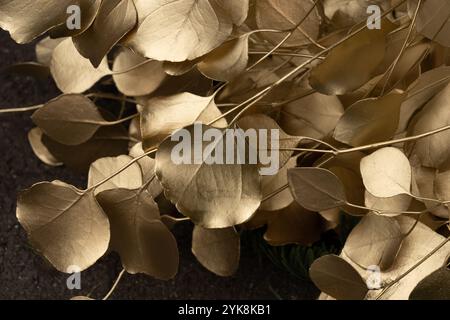 Goldene Blätter mit subtiler Textur in Nahaufnahme. Stockfoto