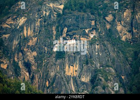 Paro Taktsang (auch bekannt als das Taktsang Palphug Kloster oder das Tigernest) ist eine bekannte heilige Stätte des Himalaya-Buddhismus und der Tempelkomplex. Stockfoto