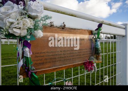 Epsom, Großbritannien. November 2024. Emily Davison Memorial in Tattenham Corner, Epsom Racecourse. Pferderennen finden seit 1661 in Epsom Downs statt. Der Platz ist vor allem für drei der besten Platzwettbewerbe der britischen Klasse 1 bekannt, den Oaks, den Coronation Cup und das Derby. Das Derby zieht regelmäßig Menschenmassen von über 40.000 an. In seiner fast 400-jährigen Geschichte haben viele britische Könige, Königinnen und Mitglieder der Aristokratie an Rennen in Epsom teilgenommen. (Foto: James Willoughby/SOPA Images/SIPA USA) Credit: SIPA USA/Alamy Live News Stockfoto