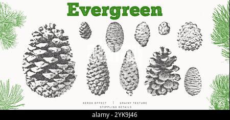 Fichtenzweige und -Kegel Set. Weihnachtsstipplings Fotokopie Illustration Stock Vektor