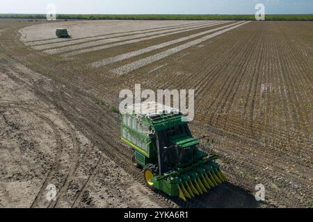 Luftaufnahme der Familie Schirmer, ihrer Landsleute und Arbeiter, während der Baumwollernte auf den Ernie Schirmer Farmen in Batesville, TX, am 22. August 2020. Vor vier Tagen hat der Regen diese Baumwollernte erschüttert, den Boden durchtränkt und die zarten runden Baumwollbollen herabhängen und von der Pflanze hängen lassen. Und der Boden, der das Gewicht der Baumwollpflückausrüstung tragen muss, wurde weicher. Heute motiviert ein herannahender Sturm sie, einen Tag früher zu beginnen. Von 10.00 bis 22.00 Uhr werden die Erntemaschinen über die kreisförmigen (schwenkbaren bewässerten) Felder gefahren. Die Erntemaschinen verwenden spezielle Ernteköpfe, die Stockfoto