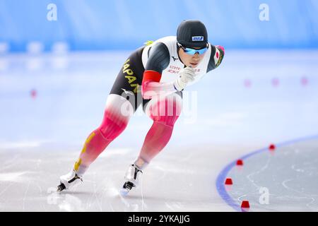 Aomori, Japan. November 2024. Rin Kosaka (JPN) Speed Skating : 2025 ISU Four Continents Speed Skating Championships Damen 1000m in der YS Arena Hachinohe in Aomori, Japan . Quelle: AFLO SPORT/Alamy Live News Stockfoto