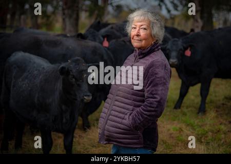 Margarita Munoz wurde vor 81 Jahren in Mexiko geboren und hat ihren amerikanischen Traum Wirklichkeit werden lassen. Im Jahr 1995 begann sie mit 401K Investitionen in die Viehzucht und kaufte 120 Acres in der Nähe von Perkins, Oklahoma, einen Traktor und eine Pflugscheibe sowie 20 Färsen. Heute besitzt sie mehr als 800 Hektar Land und verwaltet allein 250 Rinder. USDA-Foto von Preston Keres. Stockfoto