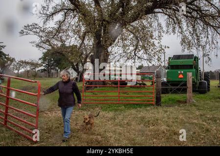 Margarita Munoz wurde vor 81 Jahren in Mexiko geboren und hat ihren amerikanischen Traum Wirklichkeit werden lassen. Im Jahr 1995 begann sie mit 401K Investitionen in die Viehzucht und kaufte 120 Acres in der Nähe von Perkins, Oklahoma, einen Traktor und eine Pflugscheibe sowie 20 Färsen. Heute besitzt sie mehr als 800 Hektar Land und verwaltet allein 250 Rinder. USDA-Foto von Preston Keres. Stockfoto