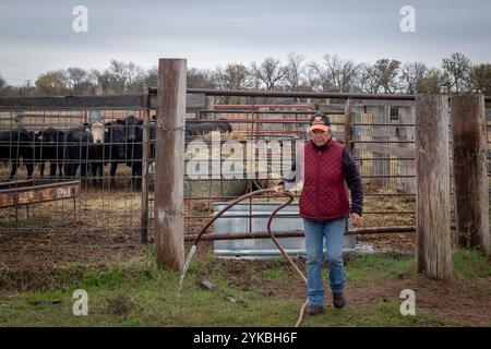 Margarita Munoz wurde vor 81 Jahren in Mexiko geboren und hat ihren amerikanischen Traum Wirklichkeit werden lassen. Im Jahr 1995 begann sie mit 401K Investitionen in die Viehzucht und kaufte 120 Acres in der Nähe von Perkins, Oklahoma, einen Traktor und eine Pflugscheibe sowie 20 Färsen. Heute besitzt sie mehr als 800 Hektar Land und verwaltet allein 250 Rinder. USDA-Foto von Preston Keres. Stockfoto