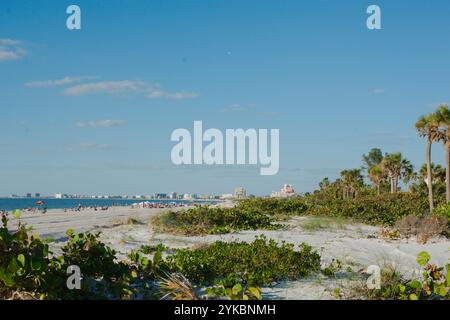 Eingerahmter Weitblick nordgrünes Meer Hafer führende Linien St. Pete Beach, FL, Pass-a-Grille Strand nach den Hurrikanen Helene und Milton neben dem Golf von Mexi Stockfoto