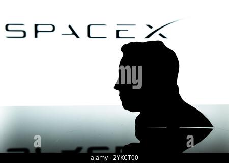 Elon Musk Silhouette vor dem Space X Logo Stockfoto