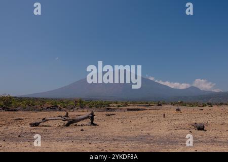 Der perfekte Ort für Naturliebhaber, Fotografen und alle, die einen ruhigen Rückzugsort suchen, um in Balis natürliche Schönheit einzutauchen. Stockfoto