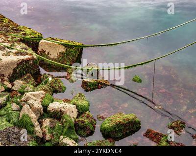 Eine ruhige Küstenlandschaft mit Felsen, die mit grünem Moos und Algen bedeckt sind und in klarem Wasser getaucht sind. Man sieht ein Seil, das über den Felsen hängt und sich darin reflektiert Stockfoto