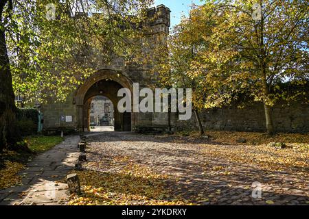 Herbstfarben in den Ruinen des Whalley Abbey Zisterzienserklosters Whalley aus dem 14. Jahrhundert im Ribble Valley Lancashire, England, Großbritannien Stockfoto