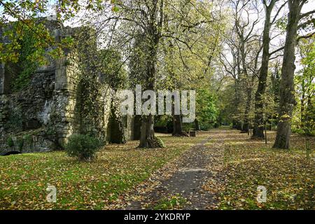 Herbstfarben in den Ruinen des Whalley Abbey Zisterzienserklosters Whalley aus dem 14. Jahrhundert im Ribble Valley Lancashire, England, Großbritannien Stockfoto