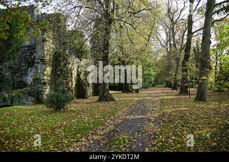 Herbstfarben in den Ruinen des Whalley Abbey Zisterzienserklosters Whalley aus dem 14. Jahrhundert im Ribble Valley Lancashire, England, Großbritannien Stockfoto