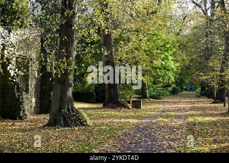 Herbstfarben in den Ruinen des Whalley Abbey Zisterzienserklosters Whalley aus dem 14. Jahrhundert im Ribble Valley Lancashire, England, Großbritannien Stockfoto