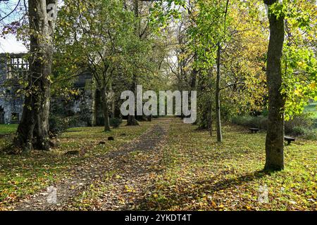 Herbstfarben in den Ruinen des Whalley Abbey Zisterzienserklosters Whalley aus dem 14. Jahrhundert im Ribble Valley Lancashire, England, Großbritannien Stockfoto