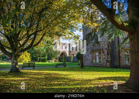 Herbstfarben in den Ruinen des Whalley Abbey Zisterzienserklosters Whalley aus dem 14. Jahrhundert im Ribble Valley Lancashire, England, Großbritannien Stockfoto