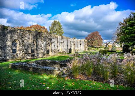 Herbstfarben in den Ruinen des Whalley Abbey Zisterzienserklosters Whalley aus dem 14. Jahrhundert im Ribble Valley Lancashire, England, Großbritannien Stockfoto