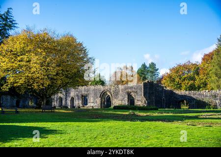 Herbstfarben in den Ruinen des Whalley Abbey Zisterzienserklosters Whalley aus dem 14. Jahrhundert im Ribble Valley Lancashire, England, Großbritannien Stockfoto