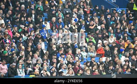 Brighton UK 16. November 2024 - Brighton Fans während des Fußballspiels der Barclays Women's Super League zwischen Brighton & Hove Albion und West Ham United im American Express Stadium, Brighton: Nur für redaktionelle Zwecke Stockfoto