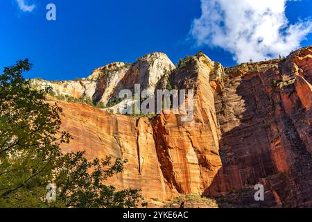 Die Sonne am späten Nachmittag beleuchtet die majestätischen Sandsteinklippen im Bereich Temple of Sinawava im Zion National Park, Washington County, Utah, USA. Stockfoto