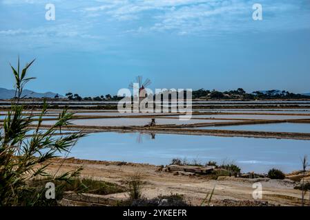 Die Saline di Marcala in der Lagune von Stagnone mit alten Windmühlen und Salzwiesen in Marshala Trapani Sizilien Italien Stockfoto