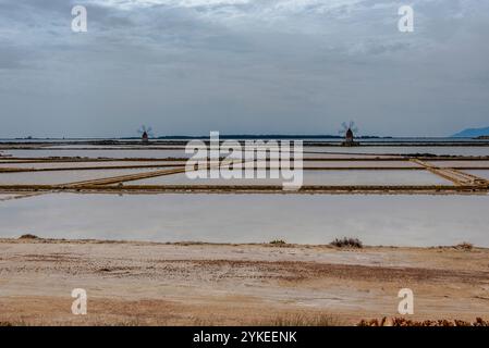 Die Saline di Marcala in der Lagune von Stagnone mit alten Windmühlen und Salzwiesen in Marshala Trapani Sizilien Italien Stockfoto