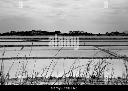 Die Saline di Marcala in der Lagune von Stagnone mit alten Windmühlen und Salzwiesen in Marshala Trapani Sizilien Italien Stockfoto