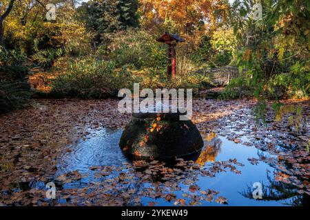 Kleiner Brunnen, Torii-Tor und Brücke auf einem Teich am Japanischen Garten in Leverkusen, Nordrhein-Westfalen. kleiner Springbrunnen, orii und Stockfoto