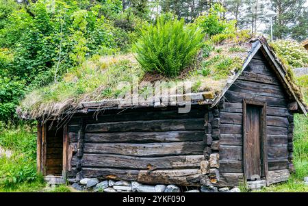 Sunnmøre Museum Norwegen und Wikingermuseum ist ein wunderschönes Freilichtmuseum mit 56 alten und einzigartigen Häusern Stockfoto