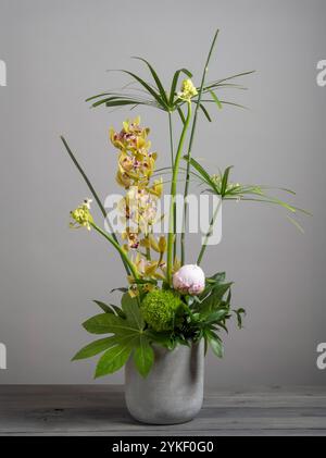 Grüne cymbidium Orchidee, Ornithogalum, dianthus barbatus, Regenschirmpalme und eine rosa Pfingstrose in einem runden Betontopf angeordnet. Stockfoto