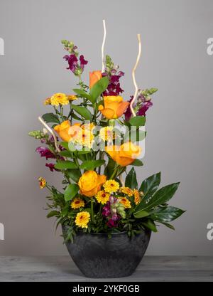 Blumenanordnung von orangen Rosen, gelben Spraychrysanthemen und dunkelroten Antirhinen in einem grauen Behälter vor grauem Hintergrund. Stockfoto