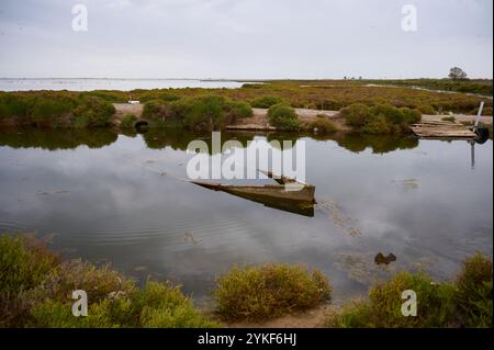 Ein altes Holzboot sitzt teilweise untergetaucht in den friedlichen Gewässern eines Sumpfgebiets im Ebro-Delta, Spanien, umgeben von üppigem Grün und mirr Stockfoto