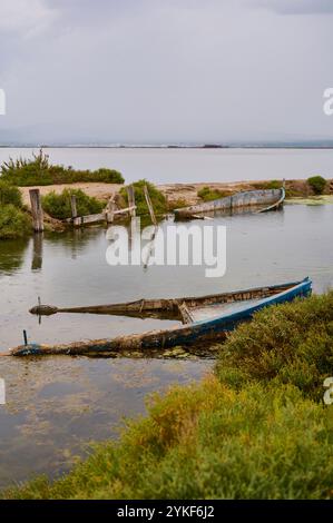 Alte Holzboote, teilweise in den ruhigen Sumpfgewässern des Ebro-Deltas, Spanien, getaucht, mit üppiger Vegetation und bewölktem Himmel Stockfoto