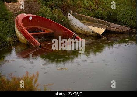 Zwei vernachlässigte Boote, ein rotes teilweise untergetauchtes und ein abgenutztes Holzboot, liegen vergessen in einem ruhigen Teich, umgeben von üppigem Grün im Ebro Delta, Spai Stockfoto