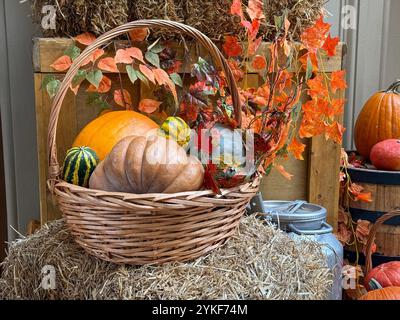 Korb gefüllt mit bunten Kürbissen, umgeben von Herbstblättern auf einem Strohballen, die den Geist der Herbsternte und Halloween-Festivi hervorheben Stockfoto