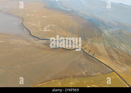 Luftaufnahme, die die komplizierten Muster von Schlamm und Sand einfängt, während die zarten Silhouetten von Ästen eine natürliche abstrakte Komposition erzeugen. Stockfoto