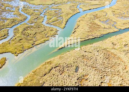 Ein von der Drohne aufgenommenes Bild zeigt einen weitläufigen südlichen Sumpfkomplex mit schlängelnden Wasserkanälen, umgeben von üppiger Sumpfvegetation Stockfoto