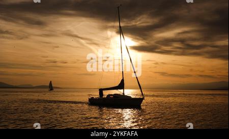 Eine friedliche Szene entfaltet sich, während die Silhouette eines Segelbootes während des Sonnenuntergangs über ein glitzerndes Meer gleitet. Der goldene Himmel und das ruhige Wasser sorgen für eine Ruhe Stockfoto